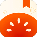 ���������С˵��װ