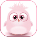 �����ȳ�����