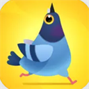 ���ĸ���