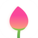 ����ʱ�����app