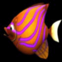 mľ��m�����С��