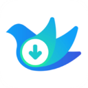 ��ȸ��Ƶ������app����