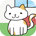 �ҵ�è�����Ķ�