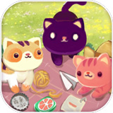 �����ӻ���