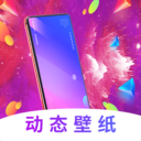 �����ֽ��������