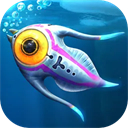 ��Ժ�����֮������