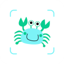 ����app��Ѱ�