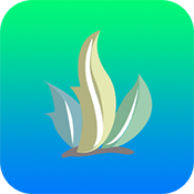 �������ֹٷ���