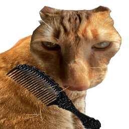 ��è��ë�ֻ���