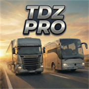 TDZ��ʻģ����������