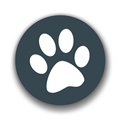 ��������app