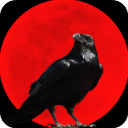 ��ѻ֮˪��������