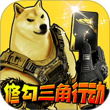 �޹������޳������������