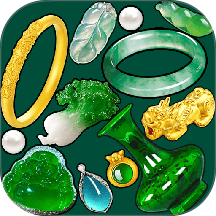 ����ϳ�����