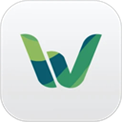 ɽ���ﲴ���°汾