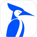 ����ͨapp���°�����