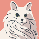 ����һ���ֻ�������