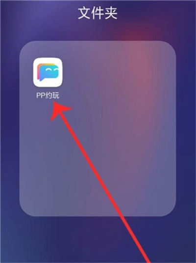 PPԼ��