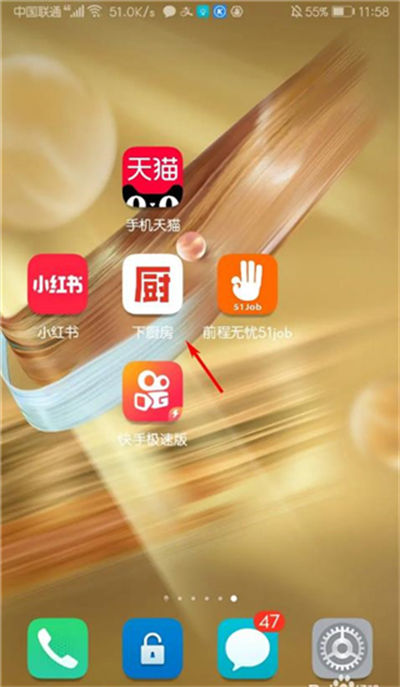 �³���app