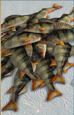 ������ʦ��Ϸ����