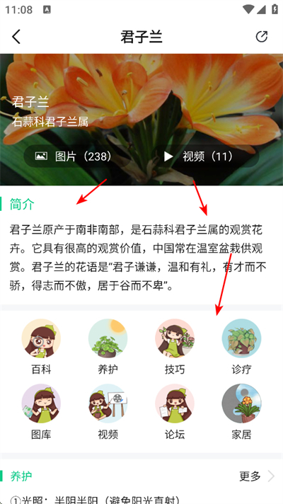 ������ȫapp