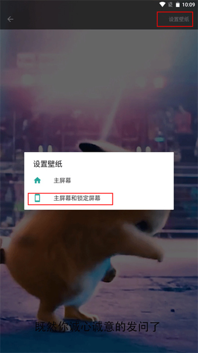 ƤƤ��ֽapp