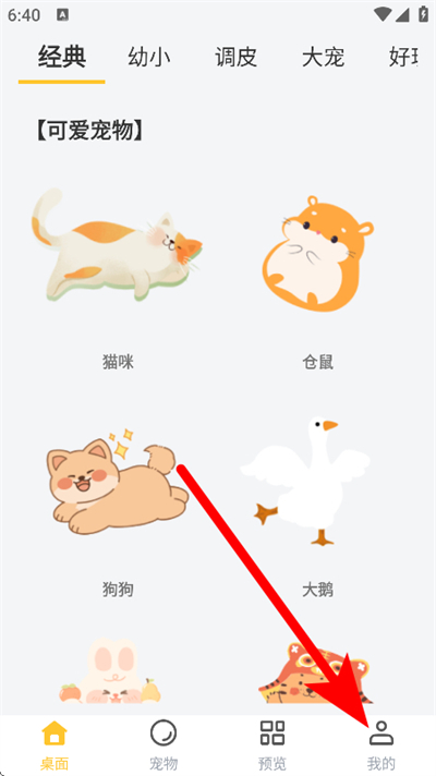 ���������app