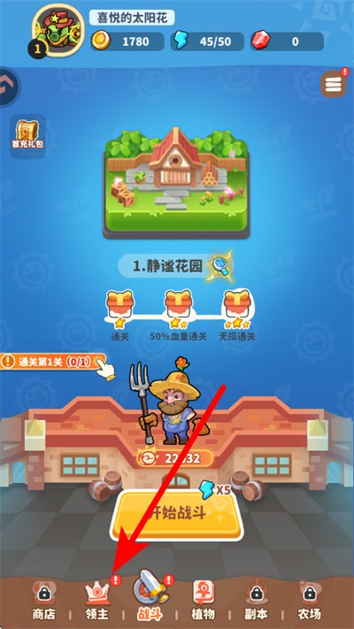 ֲ���ȶ�������ʯ��