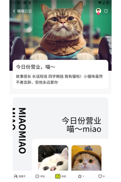 �����罻����