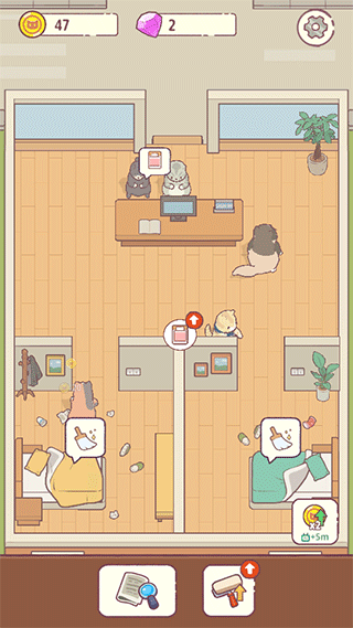 Cat Hotel���°�