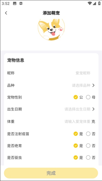 �����app