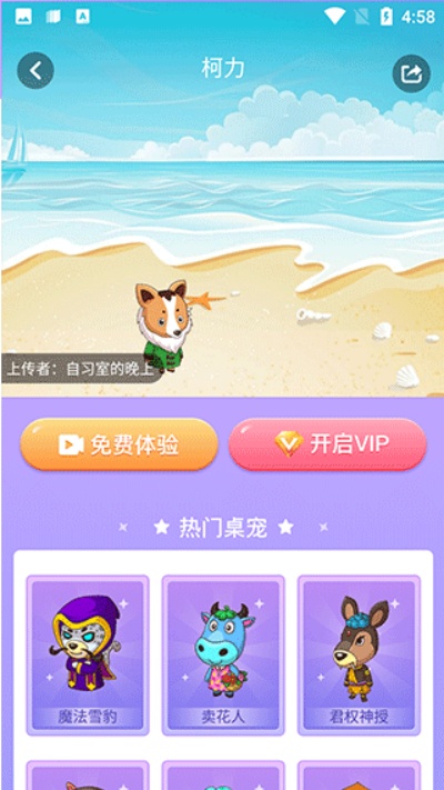 СС����app