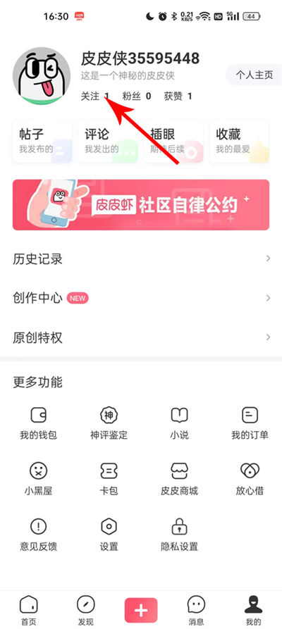 ƤƤϺapp