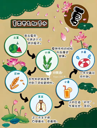 ��ʮ�Ľ�������app���°�