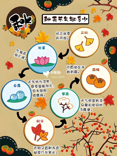 ��ʮ�Ľ�������app���°�