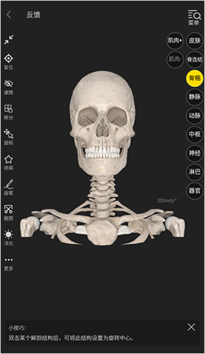 3dbody�������ѧ