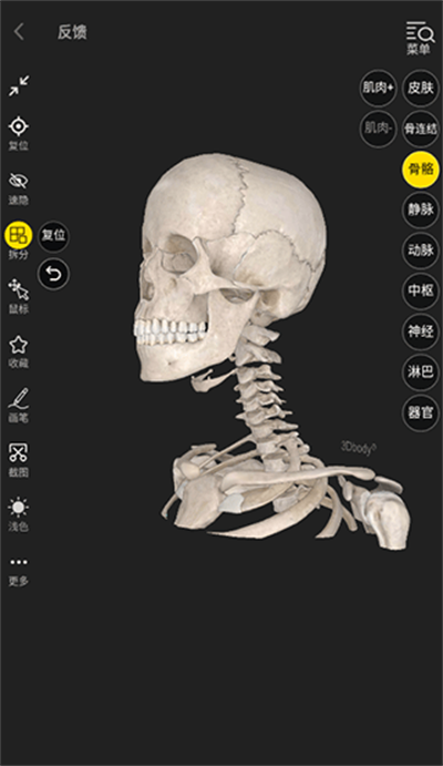 3dbody�������ѧ