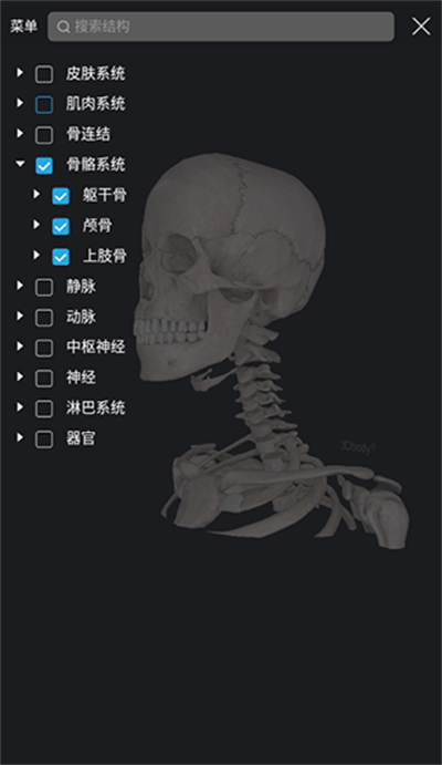 3dbody�������ѧ