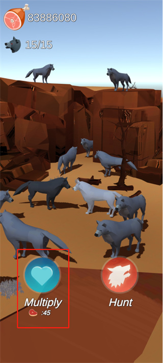 2.jpg