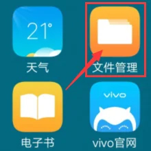 vivoӦ���̵�