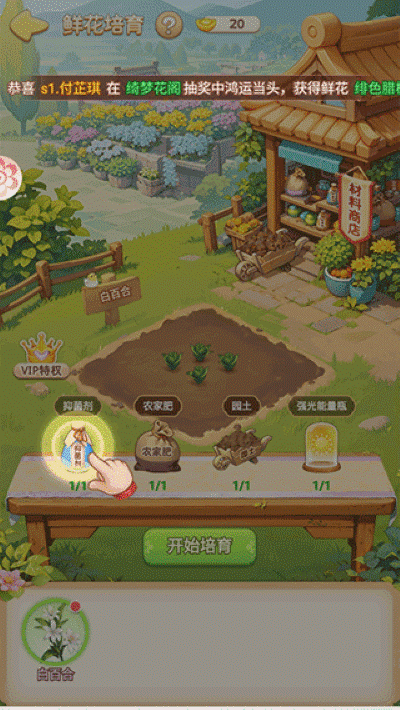 我的花园世界最新版2026 我的花园世界最新版2026