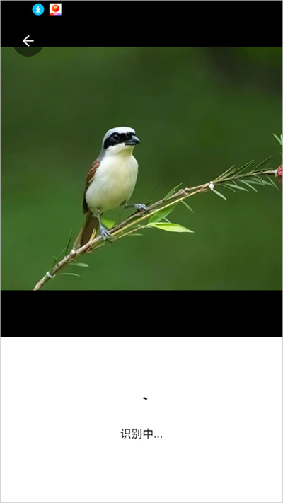 ����