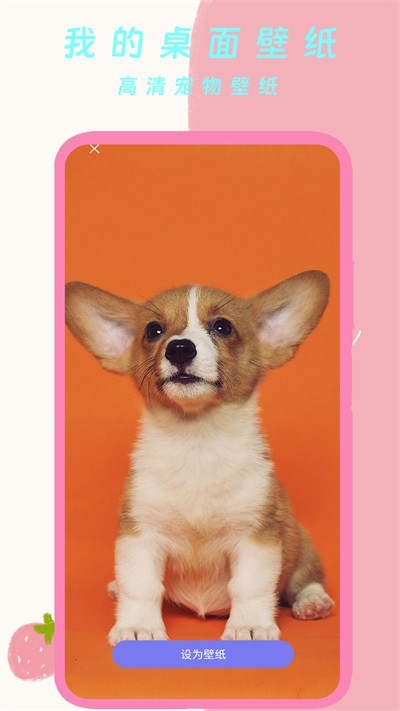 �ҵ������ֽapp v2.0 ��׿��1