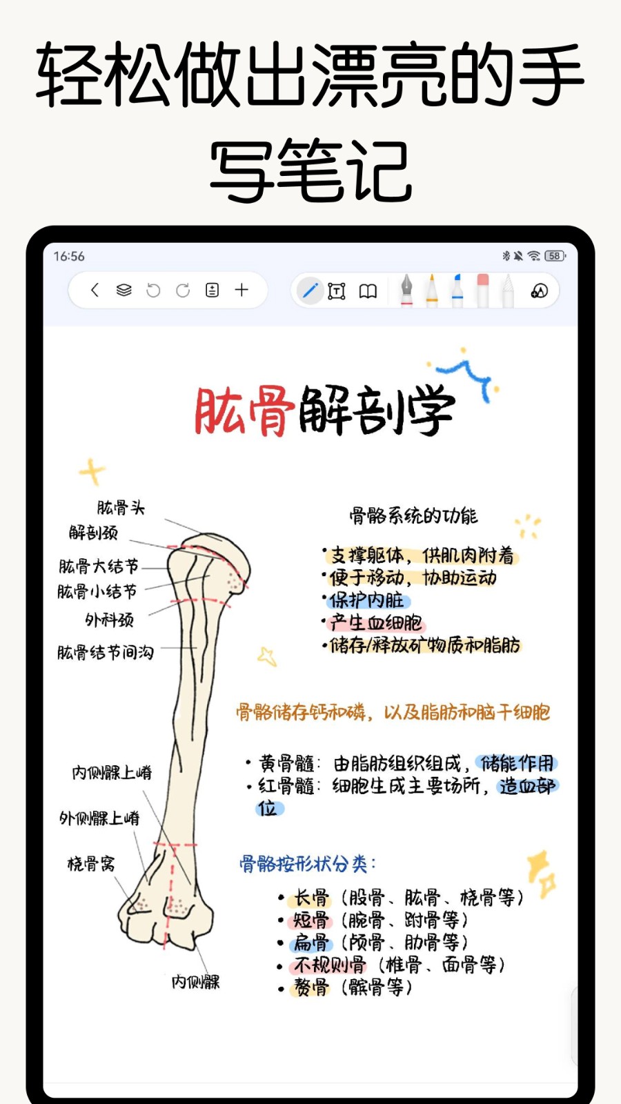 ���ɱʼǹٷ����� v3.8.01