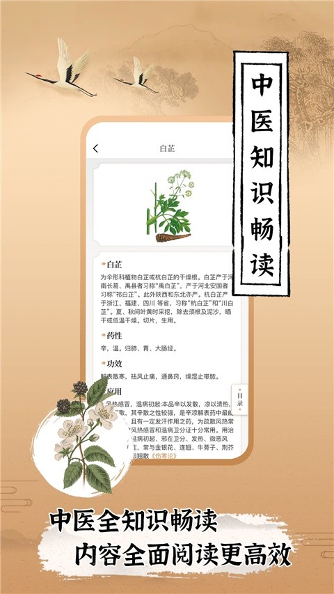 ��ҽ���ҹٷ��� v2.41