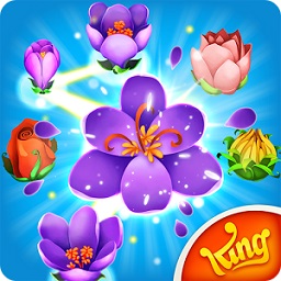 ���Ż��䴫�����°汾(Blossom Blast Saga)