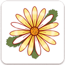 �¾��ڼ�¼