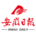大皖Plus