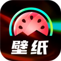西瓜壁纸app