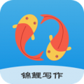 ����д��APP